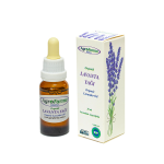 AgroFarma Organik Lavanta Yağı 20ml