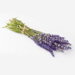 Omsy Kurutulmuş Lavanta Buketi