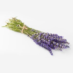 Omsy Kurutulmuş Lavanta Buketi
