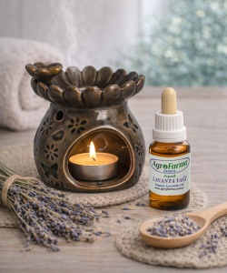 Kelebek Figürlü Dekoratif Seramik Buhurdanlık - Antrasit